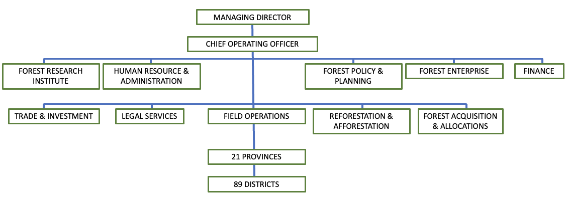OUR ORGANISATIONAL STRUCTURE