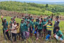 PNGFA establishes Somare Compartment  with over 1500 teak stumps 